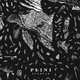 Illustration for article titled iSunhead /i- Album Review